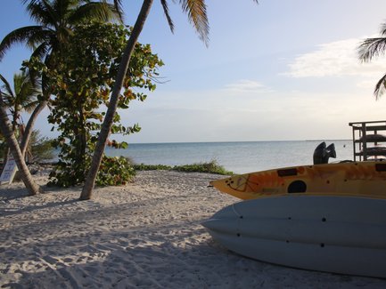 Ein ruhiger Strand mit Palmen, einem gelben Kajak und sanften Wellen, die den Sand umspülen, unter einem klaren Himmel.