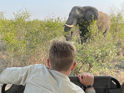 Ein Junge schaut aus dem Safari-Jeep auf einen Elefanten im Kruger-Nationalpark – Südafrika mit Kindern entdecken