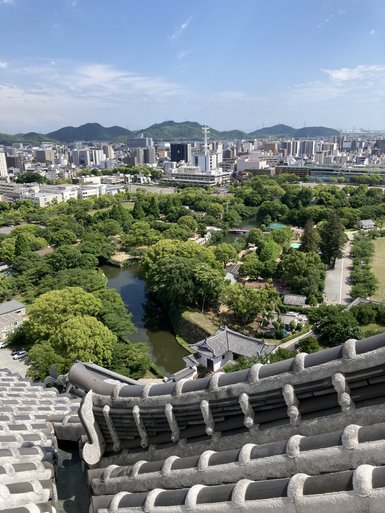 Blick von oben auf die üppigen Bäume und den ruhigen Fluss, umgeben von modernen Gebäuden und sanften Hügeln im Hintergrund.