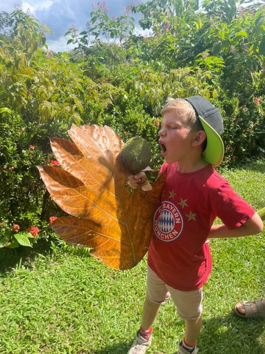 Junge hält eine tropische Frucht und ein großes Blatt auf der Don Juan Kaffeefarm – Costa Rica mit Kindern