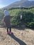 Kleinkind steht vor Pinguin - individuelle Garden Route Familienreise