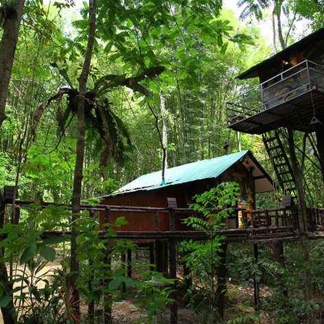 Thailand Reise mit Kindern - Khao Sok Nationalpark - Khao Sok Baumhaus - Baumhäuser