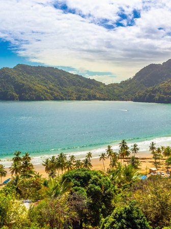 Ein atemberaubender Blick auf die Küste von Maracas Bay, umgeben von üppigen Bergen und klarem, blauem Wasser.