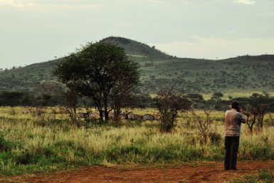 Weite Landschaft rund um das Ronjo Camp mit Zebras – Tansania Familienreise