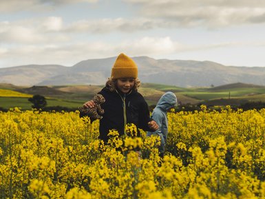 Kind spielt zwischen bunten Blumen auf der Skeiding Guest Farm – Südafrika mit Kindern