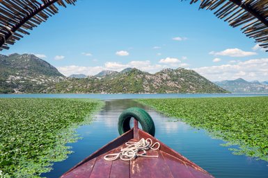 Ein Blick von einem Boot auf den ruhigen Skadarsee, umgeben von üppigen Bergen und grünen Wasserpflanzen.