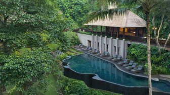 Ein luxuriöser Infinity-Pool umgeben von üppigem Grün und eleganten Liegen, ideal für Entspannung und Erholung.