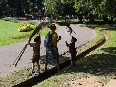 Mutter mit Kindern unter einem schattigen Baum im Park von Kandy – Sri Lanka Familienreise