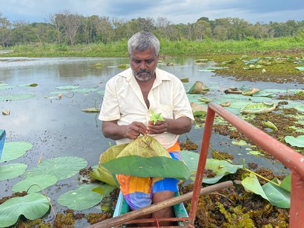 Einheimischer fertigt in der Nähe von Sigiriya einen traditionellen Hut – Sri Lanka Familienreise
