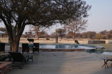 Pool Otijiwa Lodge - Namibia mit Kindern