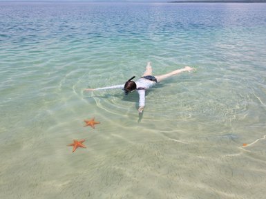 Eine Person schwimmt im klaren Wasser, während orangefarbene Seesterne im Sand liegen.