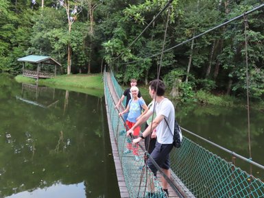Familie geht auf einer Hängebrücke über einen See im Sepilok Rainforest Discovery Centre – Malaysia & Borneo Familienreise