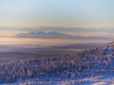 Eine weite, verschneite Landschaft mit sanften Hügeln und schneebedeckten Bergen im Hintergrund unter einem klaren Himmel.