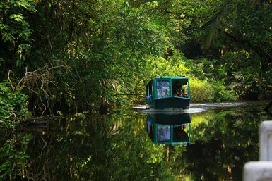 Boot fährt ruhig durch die Kanäle des Tortuguero Nationalparks – Costa Rica Reise mit Kindern