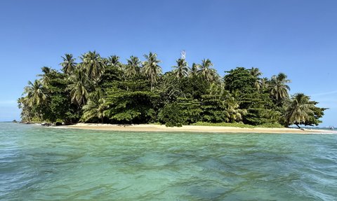 Tropische Insel mit üppiger Vegetation, umgeben von klarem, grünem Wasser unter einem strahlend blauen Himmel.