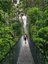 Junge auf Hängebrücke im Regenwald - Costa Rica mit Kindern im Mietwagen