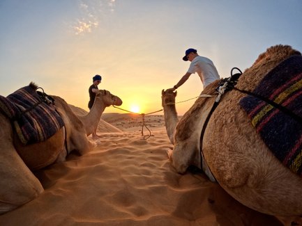 Kamele sitzen in der Wahiba-Wüste beim Sonnenuntergang – Oman Familienreise
