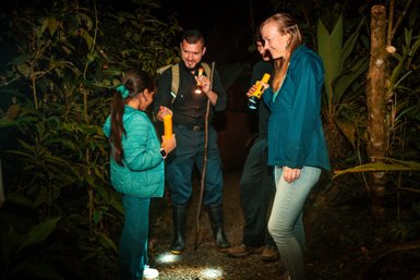 Eine Gruppe von vier Personen steht im Dunkeln und erkundet den Wald mit Taschenlampen, während sie miteinander sprechen.