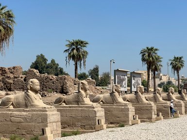 Sphinxe in der berühmten Allee des Tempels von Luxor – Ägypten Reise mit Kindern