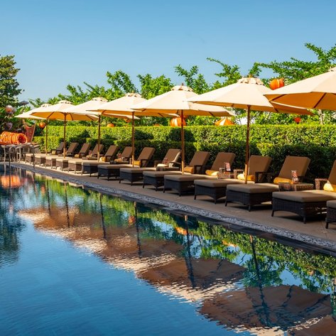 Ein einladender Poolbereich mit Liegen und Sonnenschirmen, umgeben von üppigem Grün und einem klaren blauen Himmel.