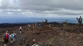 Eine Gruppe von Wanderern erkundet die vulkanische Landschaft mit kaktusbewachsenen Hügeln und einem weiten Blick auf das Tal.