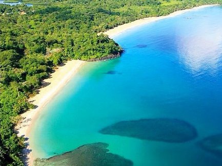 Ein atemberaubender Blick auf einen ruhigen Strand mit klarem, türkisfarbenem Wasser und üppiger grüner Vegetation im Hintergrund.