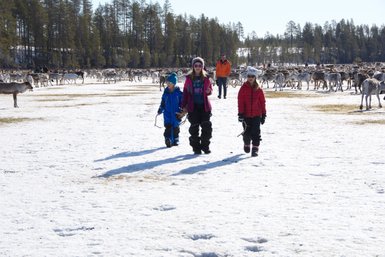 Drei Kinder in warmer Winterkleidung gehen über eine schneebedeckte Fläche, umgeben von vielen Rentieren im Hintergrund.