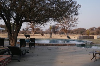 Pool Otijiwa Lodge - Namibia mit Kindern