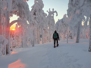Eine Person wandert durch eine verschneite Winterlandschaft, umgeben von schneebedeckten Bäumen und einem Sonnenuntergang im Hintergrund.