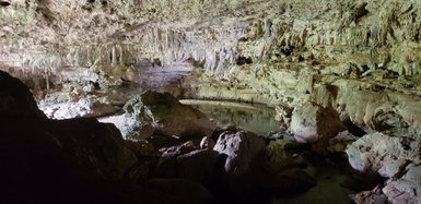 Eine beeindruckende Höhle mit schimmernden Stalaktiten und einem ruhigen Wasserbecken, das die Umgebung reflektiert.