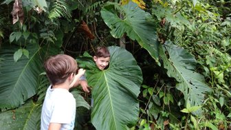 Zwei Kinder spielen im Dschungel, eines versteckt sich hinter einem großen Blatt, während das andere lacht und zeigt.
