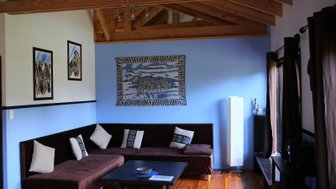Ein gemütliches Wohnzimmer mit einem braunen Sofa, bunten Kissen und einer blauen Wand, geschmückt mit Tierbildern.