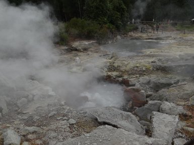 Dampfsäulen steigen aus einem heißen Quellgebiet auf, umgeben von grauen Steinen und üppigem Grün im Hintergrund.