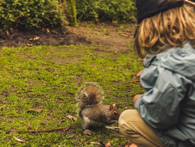 Kind füttert Eichhörnchen in Kapstadt – Südafrika mit Kindern