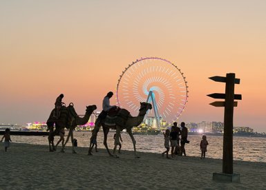 Kamele tragen Reiter am Strand, während ein großes Riesenrad im Hintergrund bei Sonnenuntergang leuchtet.