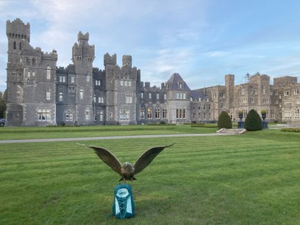 Ein majestätisches Schloss mit grauer Fassade und Türmen, umgeben von gepflegten Rasenflächen und Bäumen im Hintergrund.
