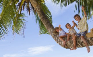 Drei fröhliche Kinder sitzen auf einem dicken Baumstamm, umgeben von Palmen und strahlend blauem Himmel.