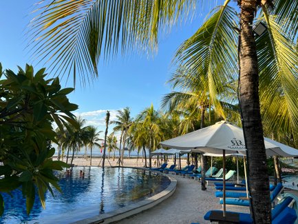 Ein ruhiger Poolbereich umgeben von Palmen, mit Sonnenliegen und Blick auf den Strand und das Meer im Hintergrund.