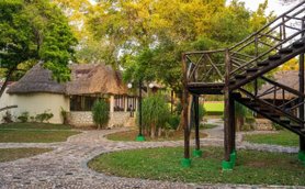 Eine malerische Landschaft mit strohgedeckten Hütten, umgeben von üppigem Grün und einem geschwungenen Steinweg.