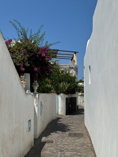 Eine schmale Gasse mit weißen Wänden und bunten Blumen, die unter einem strahlend blauen Himmel blühen.