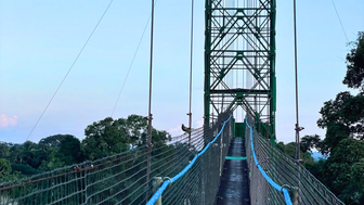 Eine schmale Hängebrücke führt über einen dichten Wald, mit einem hohen grünen Turm im Hintergrund, unter einem klaren Himmel.