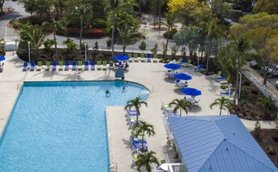 Ein weitläufiger Pool umgeben von Palmen und blauen Liegen, ideal für Entspannung und Erholung unter der Sonne.