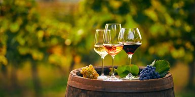 Drei Weingläser mit verschiedenen Weinsorten stehen auf einem Holzfass, umgeben von üppigen Weinreben im Hintergrund.