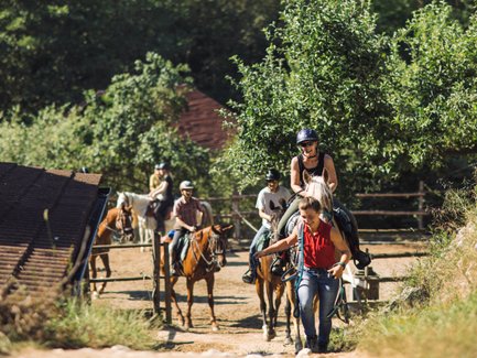 Eine Gruppe von Reitern, die auf einem sonnigen Weg mit Bäumen und einem Stall im Hintergrund reitet.