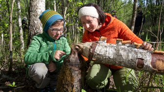 Ein Kind und eine Frau untersuchen gemeinsamen Bieberspuren an einem Baum
