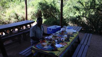 Picknick mit Guide in der grünen Natur des Addo Nationalparks – Garden Route mit Kindern