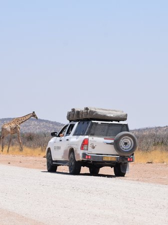 Ein Jeep mit Dachzelt steht vor einer Giraffe - Namibia Familienurlaub