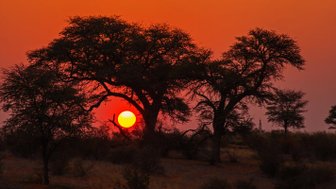 Roter Himmel bei Sonnenuntergang – Sri Lanka Familienreise