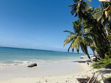 Ein ruhiger Strand mit feinem, weißen Sand, umgeben von hohen Palmen und klarem, türkisfarbenem Wasser unter einem strahlend blauen Himmel.