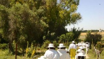 Eine Gruppe von Menschen in Schutzkleidung geht auf einem schmalen Weg durch eine grüne Landschaft mit Bäumen.